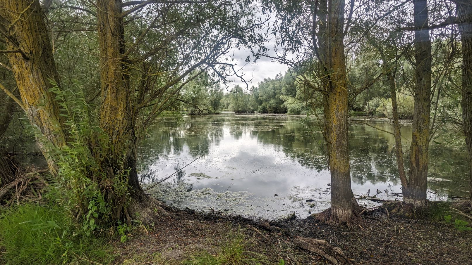 Linford Lakes