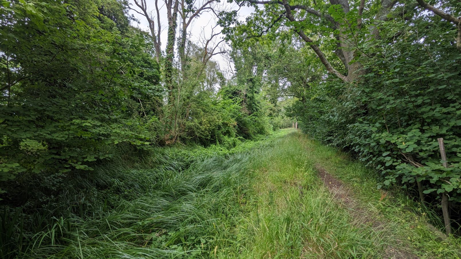 buckingham canal