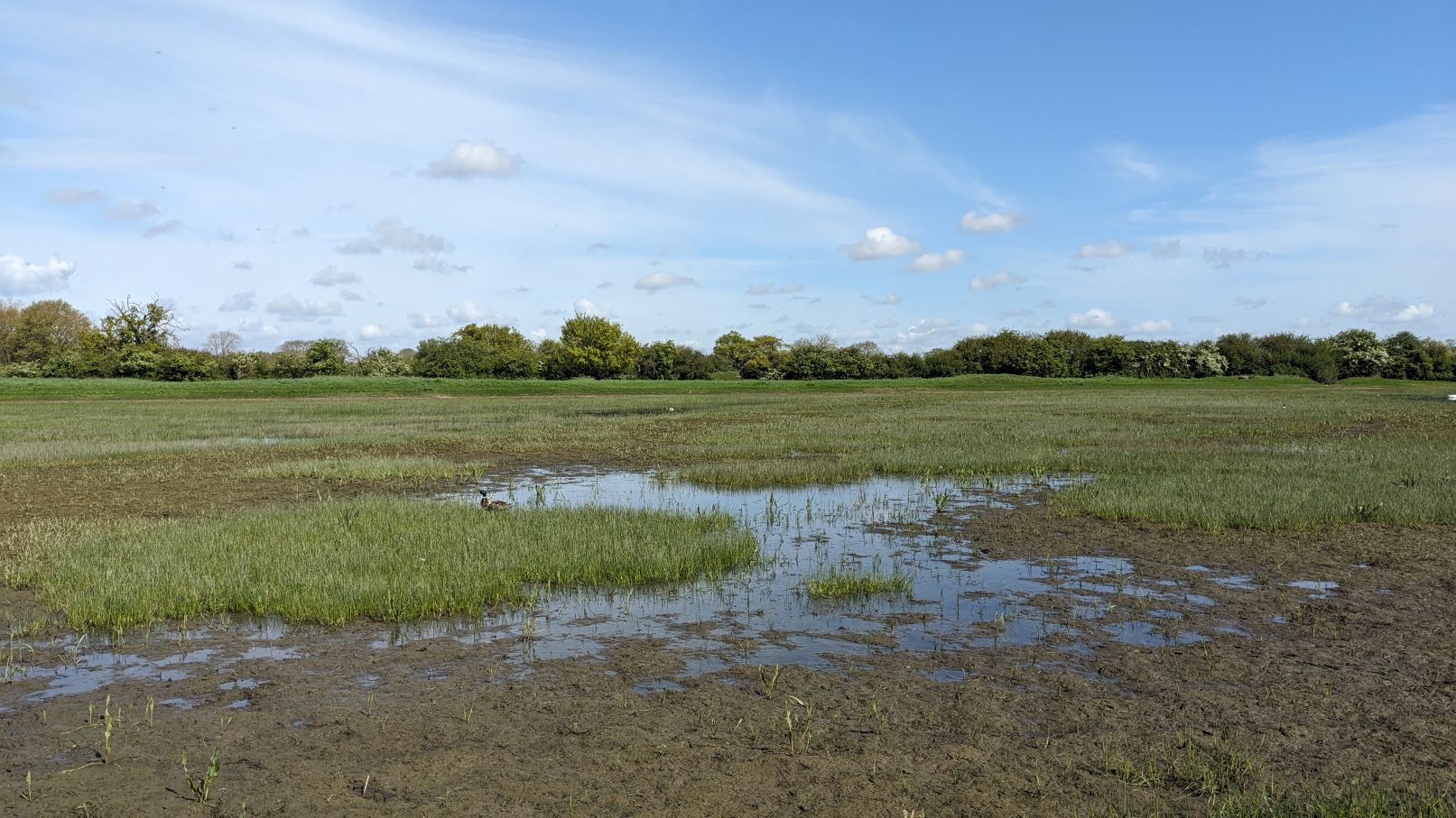 Ouse Washes