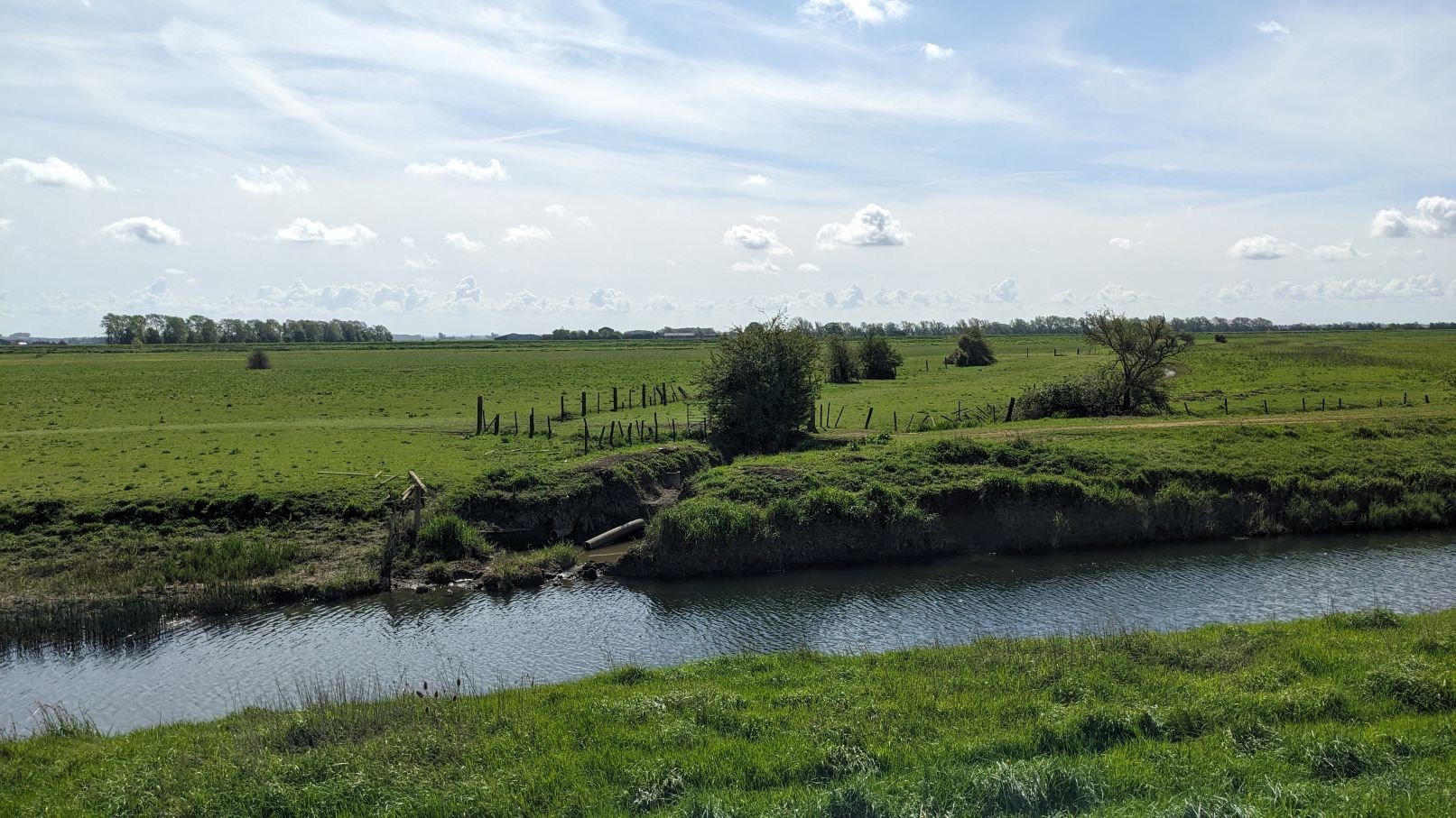 Ouse Washes