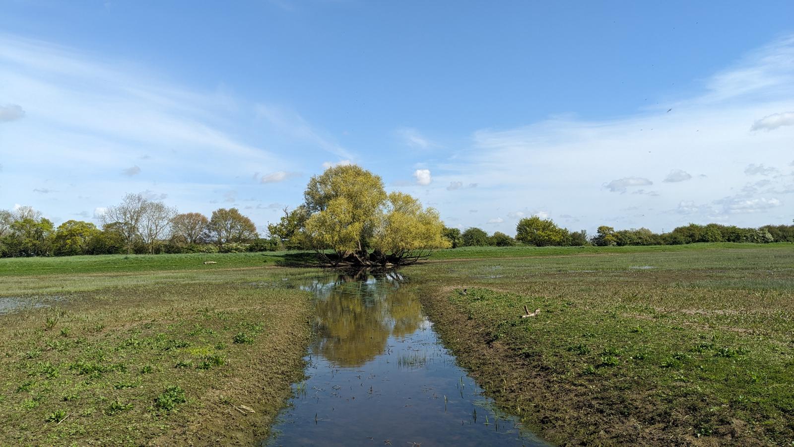 Earith