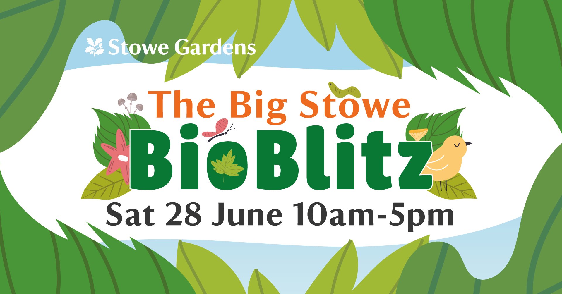 Big Stowe BioBlitz 2025
