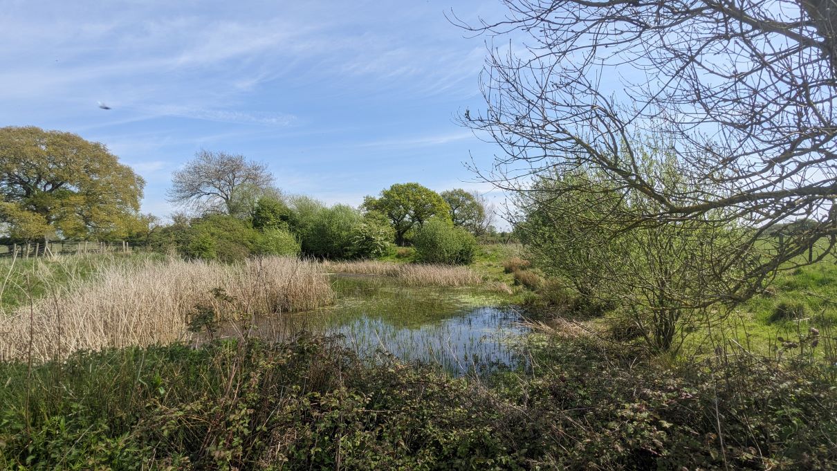 Ouse Source