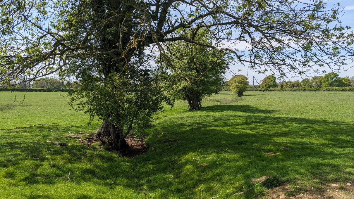 Ouse Source